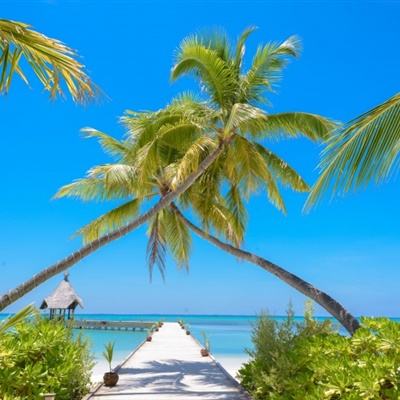 安博体育app官方下载入口