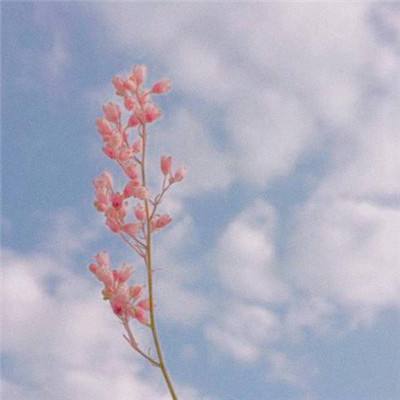 斗牛棋牌手机app下载