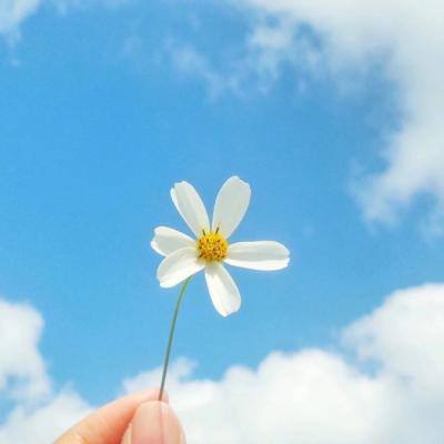 江南官方网站下载手机app下载