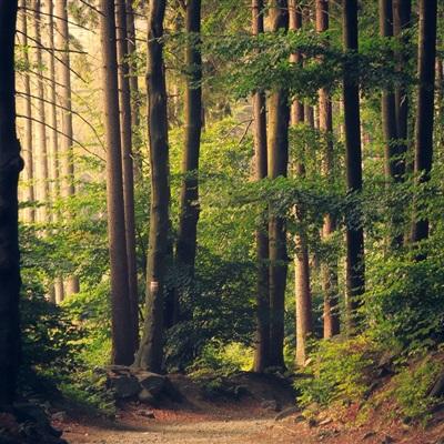 星空官方网站入口