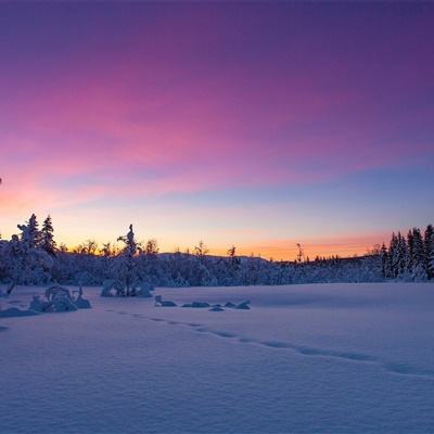 b体育登录入口app下载安装