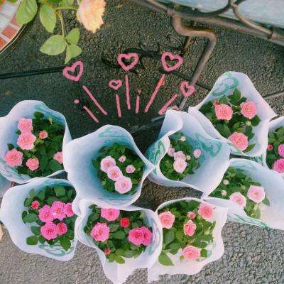 江南平台app下载安装app下载