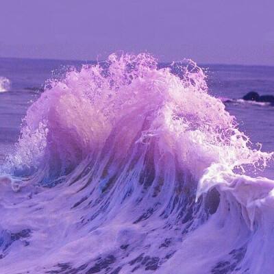 贝博app代言艾弗森下载手机版