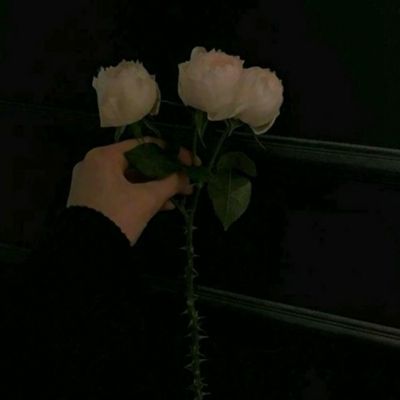 pg棋牌软件平台官方版下载